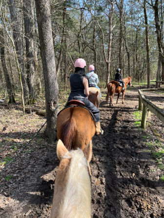 View from a horse’s back of a group horseback riding on a muddy forest trail, riders in helmets following horses through leaf‑strewn woods