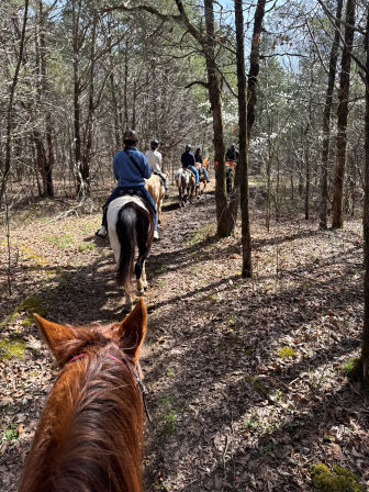 1.5 Hour Private Ride at The Stables at Cedars of Lebanon image 10