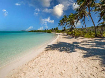 Tropical white-sand beach with clear turquoise water, leaning palm trees casting shadows, and a bright blue sky with puffy clouds.