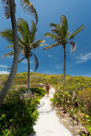 White-sand beach path framed by swaying palm trees and bright blue sky, a person in a black swimsuit walking through coastal dunes