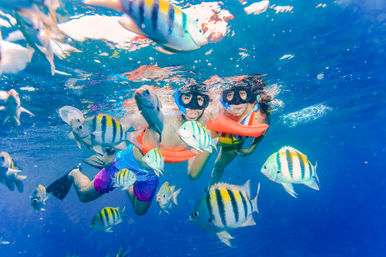All-Inclusive Catamaran Experience to Isla Mujeres: Sailing & Snorkeling with Food & Drinks Included image 7