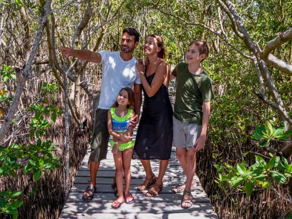 Family of four exploring a sunny tropical mangrove boardwalk — parents and two kids smiling as dad points toward wildlife along a shaded nature trail