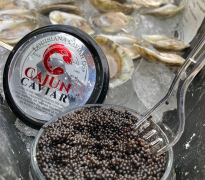 Tiny glossy black caviar pearls in a glass jar with a clear plastic fork on crushed ice, surrounded by opened oyster shells — Louisiana Gulf Coast seafood display.
