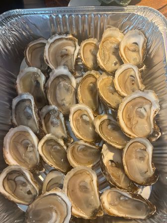 Fresh shucked raw oysters on the half shell arranged in an aluminum tray — glossy briny seafood platter ready to serve