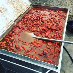 Cajun-style outdoor crawfish boil in a large stainless-steel tray, bright red crawfish simmering in seasoned broth with a long metal paddle for stirring