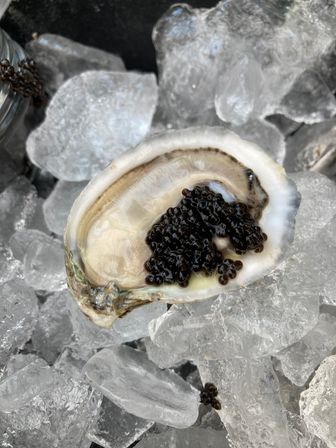 Close-up of a raw oyster half resting on crushed ice, topped with glossy black caviar — fresh seafood appetizer