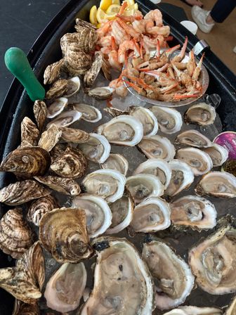 Seafood platter of raw oysters on the half shell on crushed ice, piled cocktail shrimp, crab claws and lemon wedges at an oyster bar