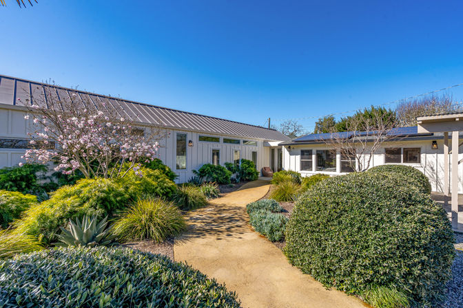 Sunny front yard of a modern ranch-style house with white siding and metal roof, a winding decomposed-granite path through drought-tolerant landscaping—agave, ornamental grasses, trimmed shrubs and a blooming tree—under a clear blue sky.