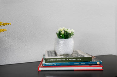 Cheerful small white faux potted plant with tiny cream flowers in a textured white pot, sitting on a stack of hardcover books (including Kansas City photo volumes) on a black tabletop against a light textured wall.