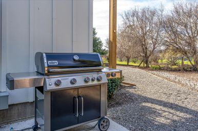 Stainless-steel gas grill on a patio beside a gravel path, overlooking a sunlit residential backyard with leafless trees.