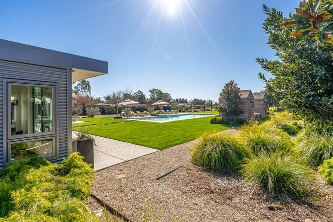 Sunny modern backyard with rectangular pool, lounge chairs and umbrellas, manicured lawn, gravel path and ornamental grasses under a clear blue sky.