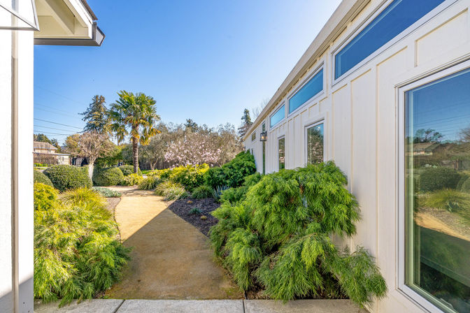 Sunny landscaped residential garden path beside a modern white house with large windows, lush green shrubs, palm tree and flowering trees under a clear blue sky