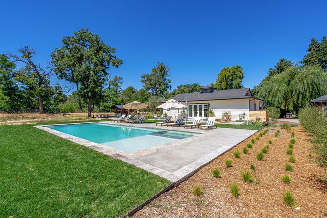 Sunny backyard with a rectangular in-ground pool and shallow tanning ledge, lounge chairs and umbrellas on a concrete deck, a modern single-story house, manicured lawn, rows of new shrubs and mature trees under a clear blue sky.