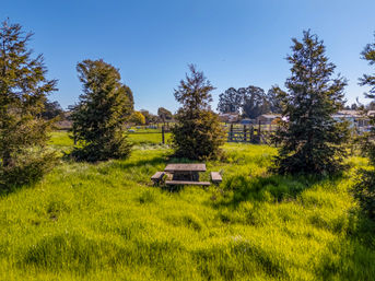 Wooden picnic table nestled in tall green grass among evergreen trees in a sun-drenched rural field with farm fences and a clear blue sky.