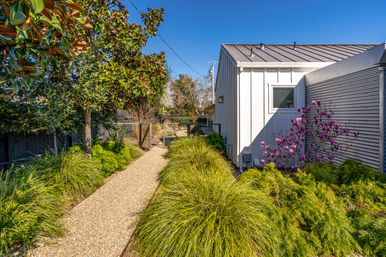 Sunlit gravel pathway beside a modern white house leading to a garden gate, flanked by ornamental grasses, a magnolia tree and pink flowering shrub under a clear blue sky.
