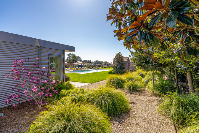 Sunny outdoor pool area with modern poolhouse and lounge chairs, bright green lawn, pink magnolia blooms and a gravel garden path bordered by clumps of ornamental grasses and magnolia trees.