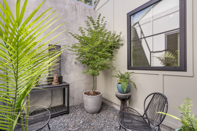 Small modern urban courtyard patio with a potted Japanese maple, blue-pot fern on a pedestal, black metal wire chairs, pebble ground and concrete wall under a reflective window.
