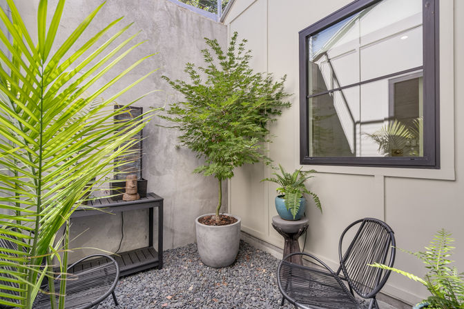Small modern urban courtyard patio with a potted Japanese maple, blue-pot fern on a pedestal, black metal wire chairs, pebble ground and concrete wall under a reflective window.