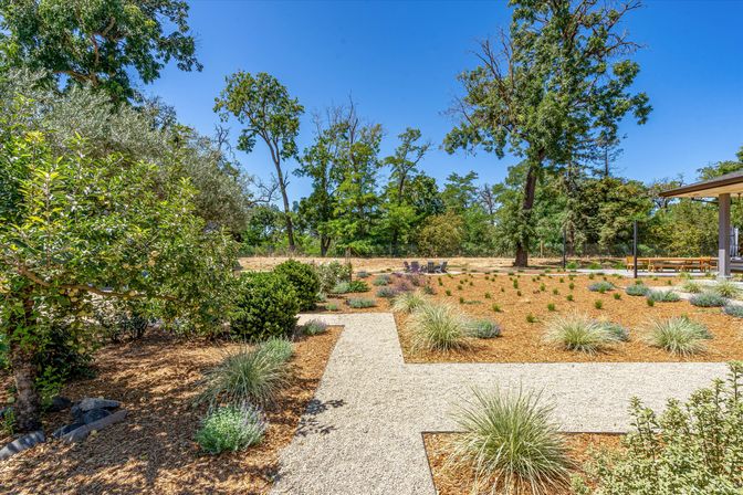 The Broadway Farmhouse: Private Sonoma Getaway on 4 Acres - Pool, Hot Tub, Game Room & Outdoor Kitchen image 36
