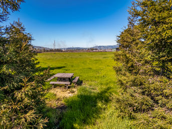 Sunlit picnic table in a green meadow framed by evergreen trees, an open field and rolling hills under a clear blue sky.
