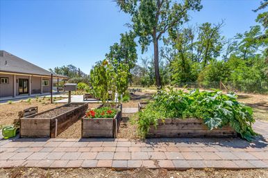 Sunny backyard with raised wooden garden beds overflowing with vegetables and red flowers, paver walkway and mature trees in the background