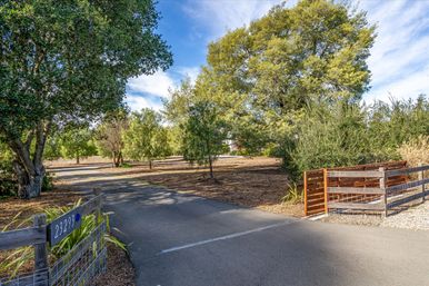 Tree-lined rural driveway entrance with wooden gate and fence, sunlit oak trees, mulch beds and a clear blue sky