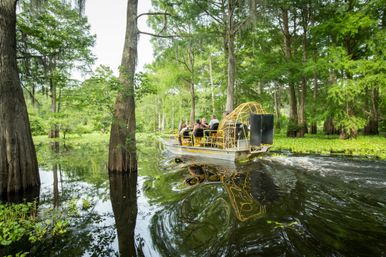 Airboat gliding through a lush cypress swamp bayou with passengers, moss-draped trees and glassy water reflections.