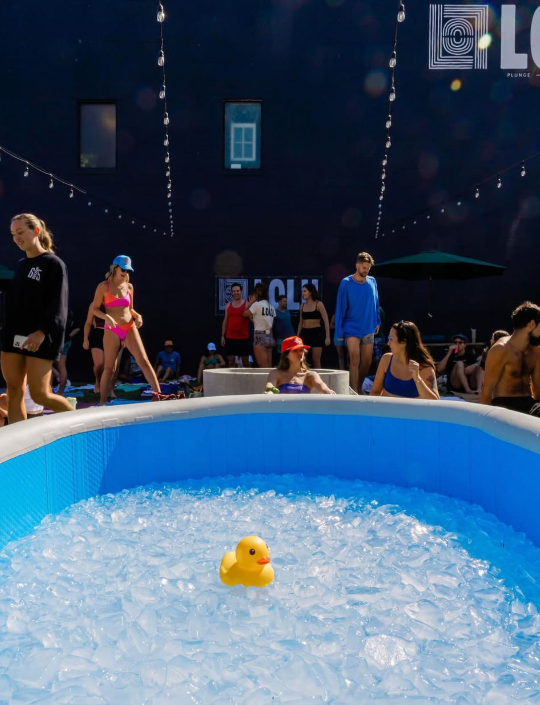 Yellow rubber duck floating in a blue inflatable ice bath at an outdoor urban courtyard ice-bath event with people in swimwear and string lights overhead