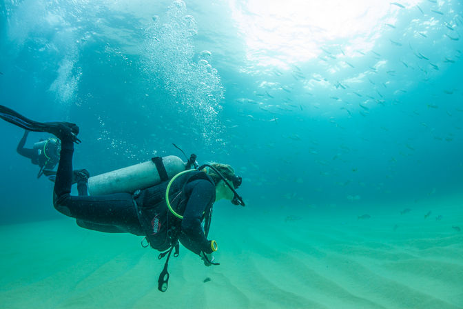 Scuba diver gliding above rippled sandy seabed in clear turquoise water, bubbles rising to the sunlit surface and a distant school of fish swimming overhead.