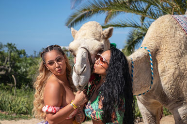 Two women in colorful swimwear and sunglasses pose playfully with a white camel on a sunny tropical beach with palm trees — fun vacation photo.