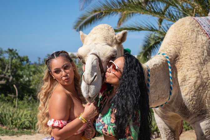 Two women in colorful swimwear and sunglasses pose playfully with a white camel on a sunny tropical beach with palm trees — fun vacation photo.