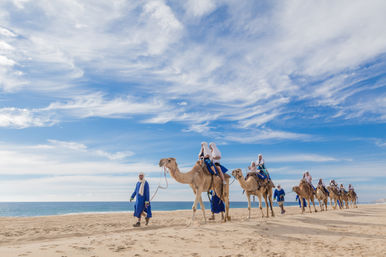 Camel caravan led by robed guides walking along a sandy beach beside a calm blue ocean under wispy clouds and a bright sky