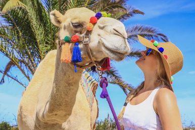 Close-up of a camel with colorful pom-pom and tassel harness nuzzling a woman in a straw sun hat and sunglasses beneath palm trees on a bright sunny vacation
