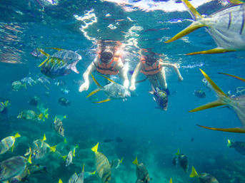 Two snorkelers in orange life vests swimming above a tropical coral reef surrounded by a playful school of colorful yellowtail and silver reef fish in clear blue water