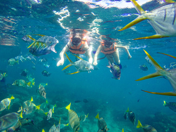 Two snorkelers in orange life vests swimming above a tropical coral reef surrounded by a playful school of colorful yellowtail and silver reef fish in clear blue water