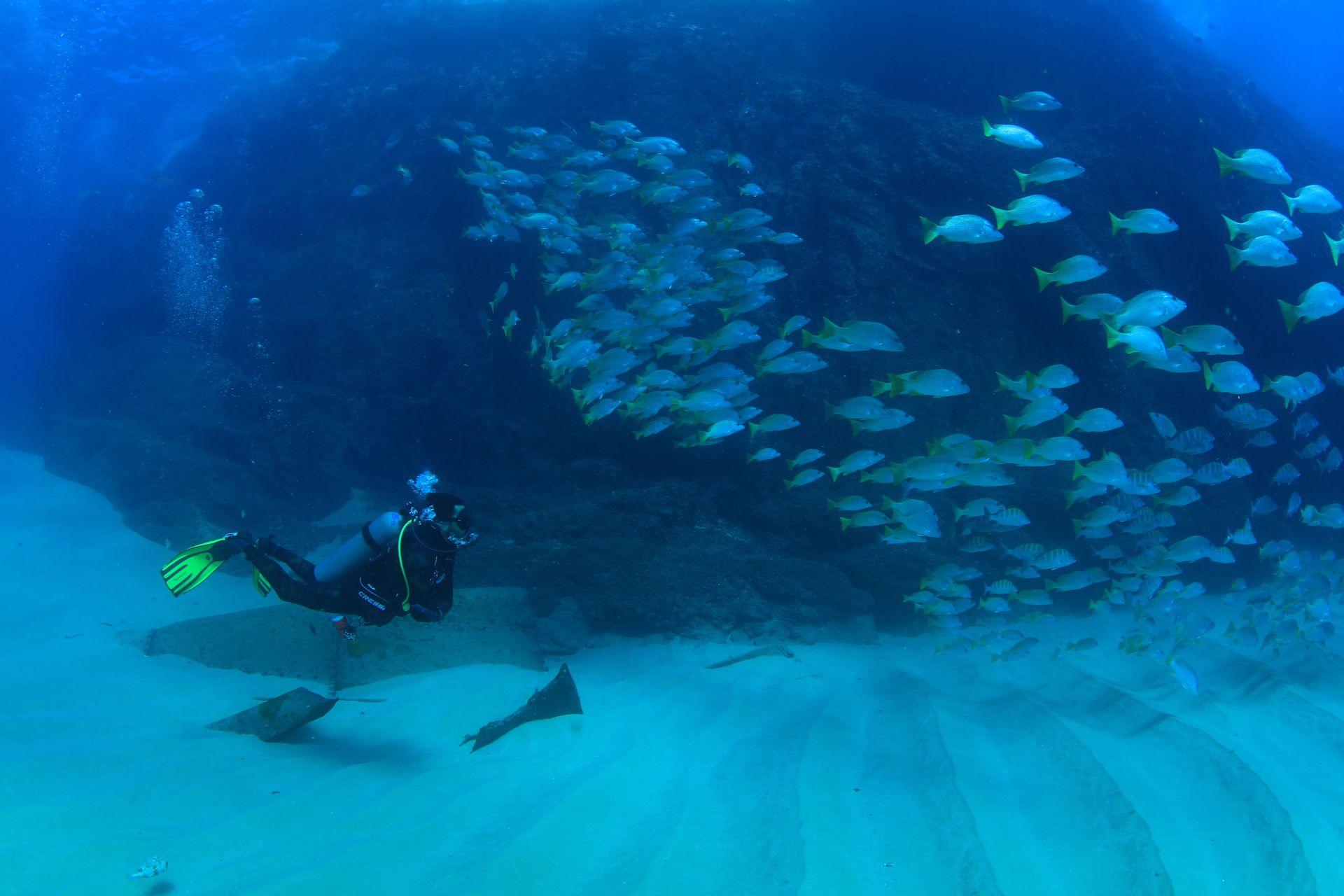 Scuba diver with neon yellow fins explores a rocky reef as a school of blue-and-yellow fish swarms above a rippled sandy seabed