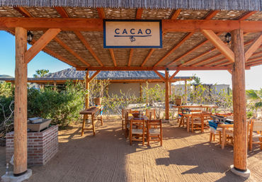 Sunlit thatched-roof pavilion with a 'Cacao' sign, rustic wooden tables and chairs on sandy ground, surrounded by tropical plants and palm trees.