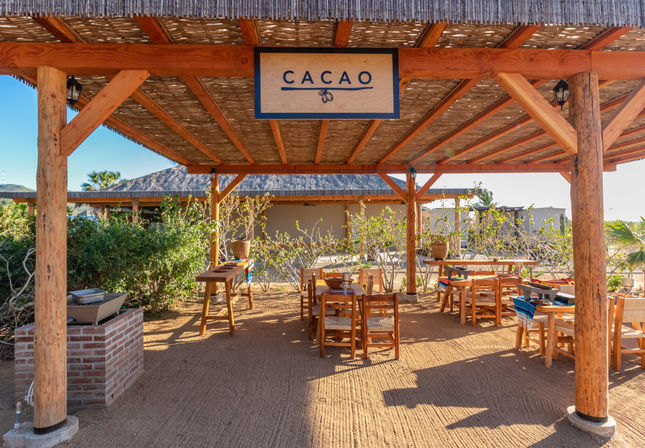 Sunlit thatched-roof pavilion with a 'Cacao' sign, rustic wooden tables and chairs on sandy ground, surrounded by tropical plants and palm trees.