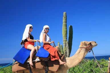 Two women in white headscarves and sunglasses riding a camel past tall columnar cacti under a vivid blue sky with the ocean on the horizon