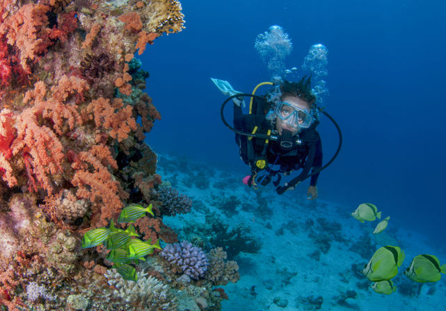 Two-Tank Dive at Cabo's Famous Arch for Certified Divers image 5