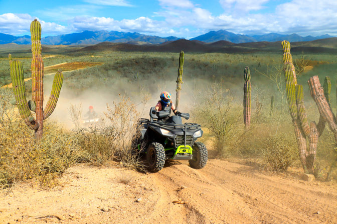 Thrilling ATV rider kicking up dust on a sandy desert trail lined with tall cacti, with rolling hills and blue mountains under a bright sky.