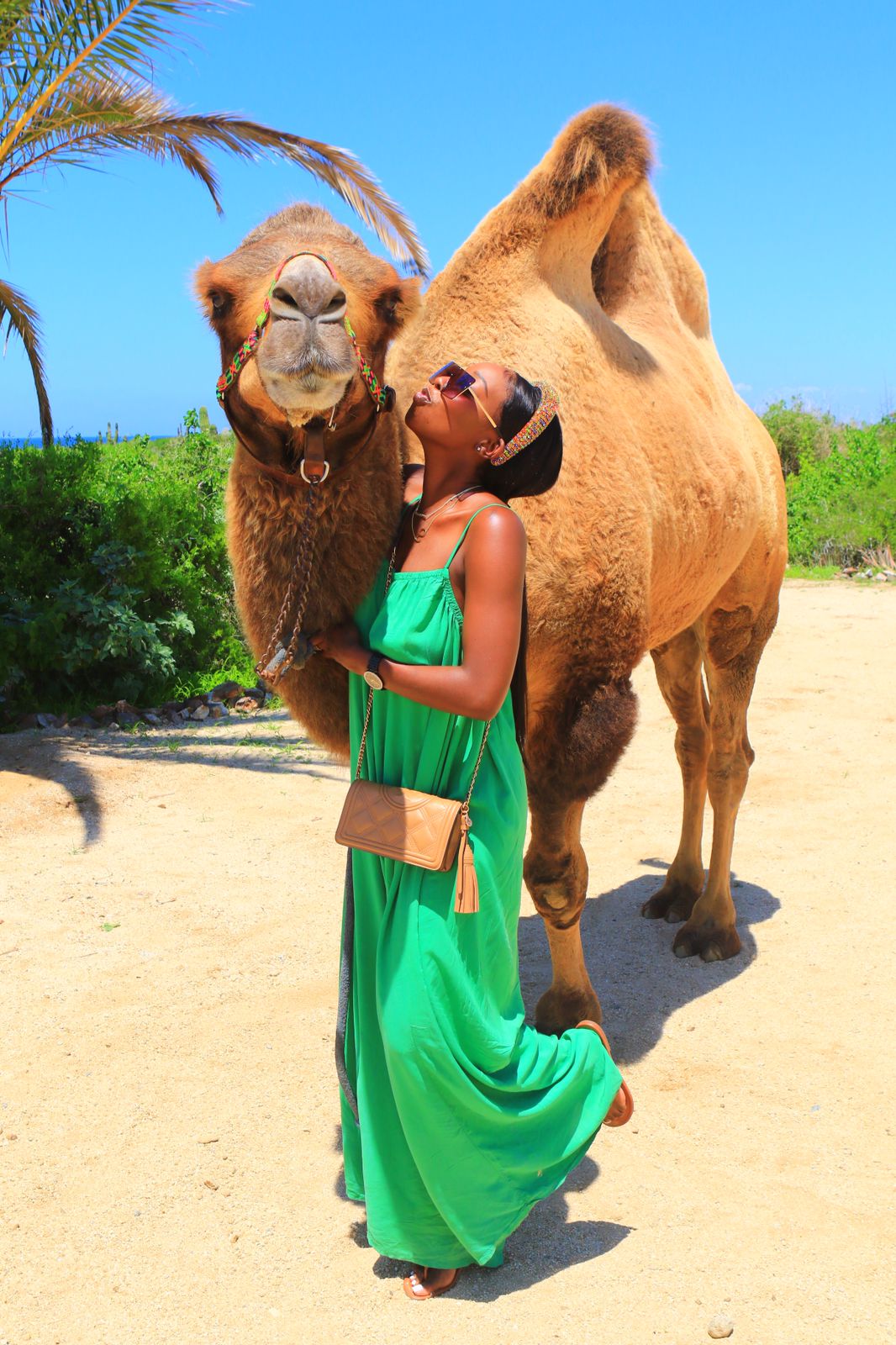 Woman in a flowing green maxi dress and sunglasses posing beside a dromedary camel on a sunny beachside path with palm trees and bright blue sky — tropical vacation photo