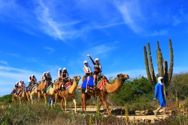 Camel caravan of tourists wearing white headscarves led by a guide in blue along a desert trail past tall cacti under a vivid blue sky
