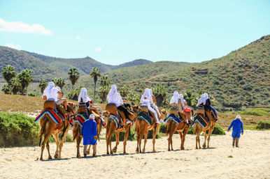 Group of tourists on a camel ride along a sandy coastal trail, riders in white headscarves seated on camels with colorful striped blankets, guides in bright blue robes walking beside them, palm trees and green hills under a clear blue sky.
