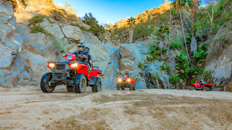 Three red ATVs with helmeted riders traversing a sandy canyon floor framed by rocky cliffs and palm trees — off‑road outdoor adventure
