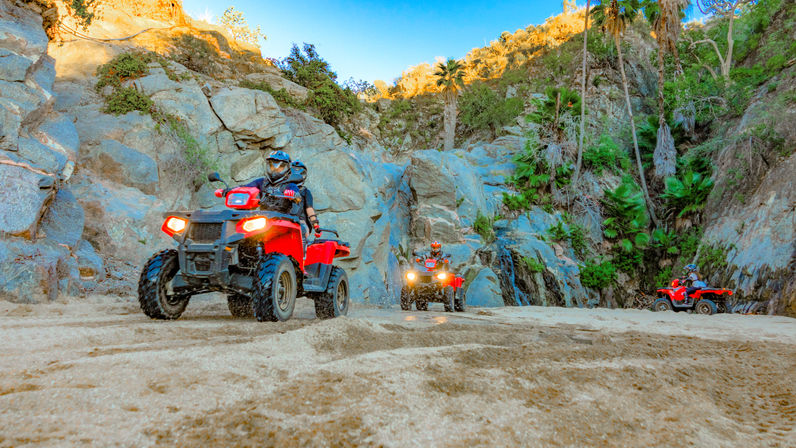 Three red ATVs with helmeted riders traversing a sandy canyon floor framed by rocky cliffs and palm trees — off‑road outdoor adventure