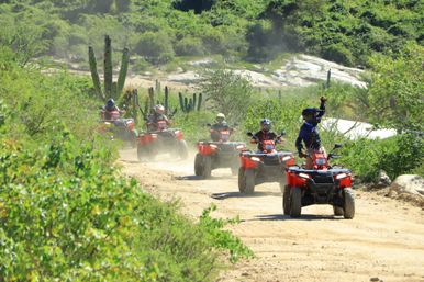 Group on an off-road ATV tour: riders on red all-terrain vehicles kicking up dust along a sunny desert trail flanked by tall cacti and scrub