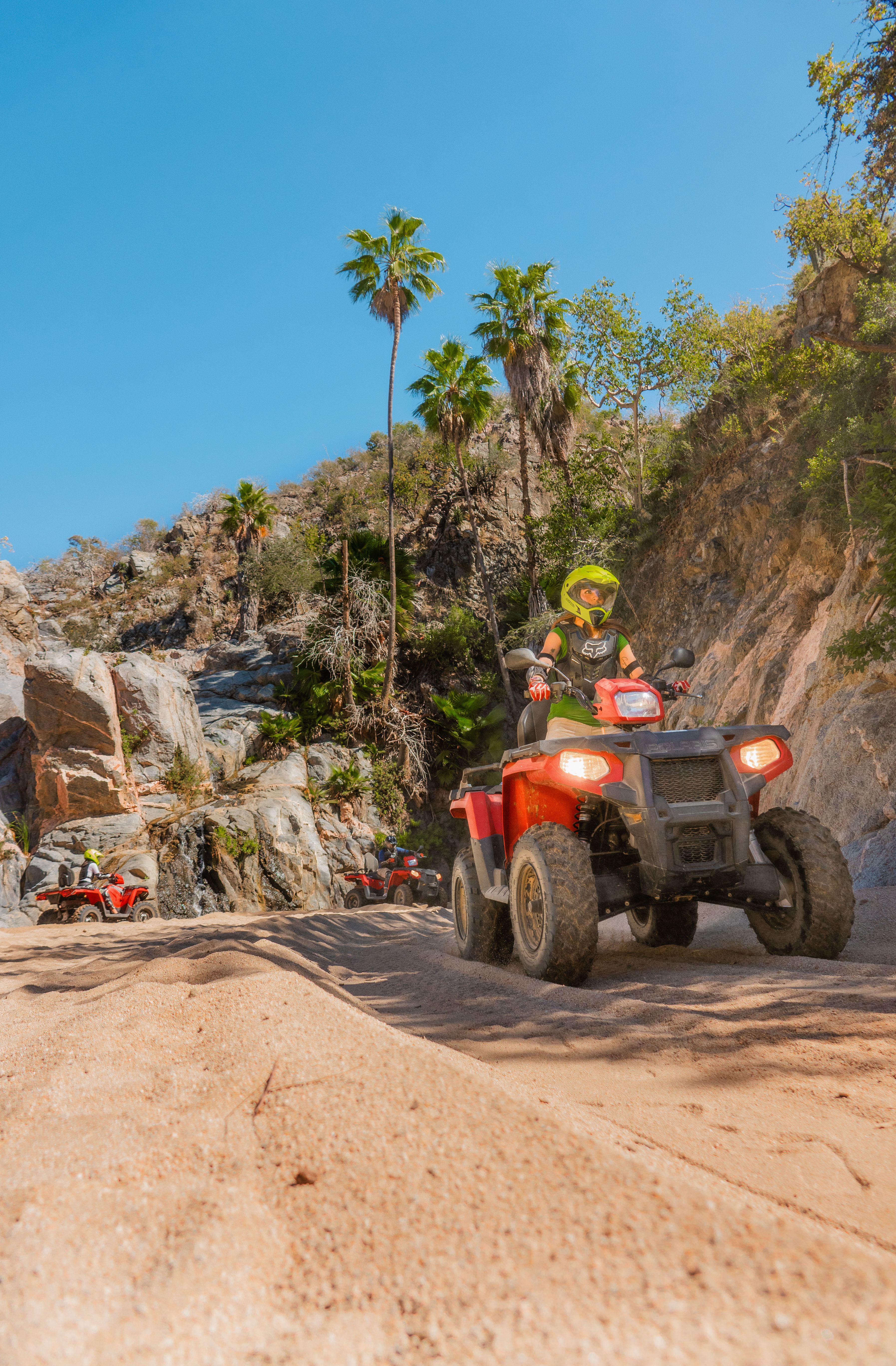Off-road adventure with riders on red ATVs navigating a sandy desert canyon trail past rocky cliffs and tall palm trees under a clear blue sky.