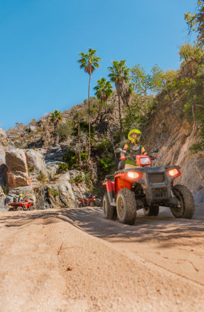 Off-road adventure with riders on red ATVs navigating a sandy desert canyon trail past rocky cliffs and tall palm trees under a clear blue sky.