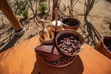 Sunlit close-up of a dried cacao pod, bowl of cocoa beans and wooden mortar-and-pestles on a rustic wooden table in a desert garden.